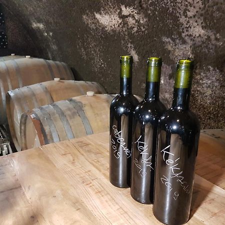 Вілла Grand Cru 3. Vendeghaz Hegymagas Екстер'єр фото