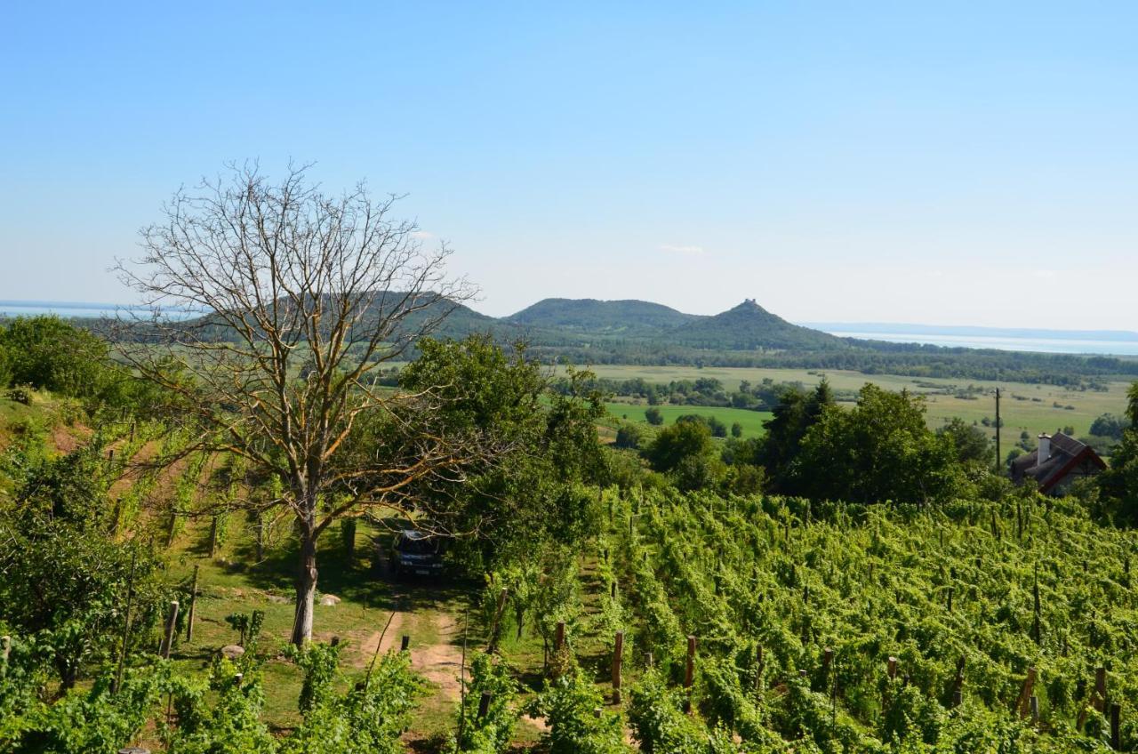 Вілла Grand Cru 3. Vendeghaz Hegymagas Екстер'єр фото